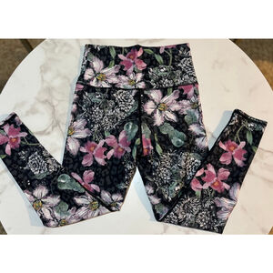 Evolution & Creation